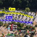 영신농장 | 문경 카라반 캠핑가능한곳 리우 캠핑장 다녀왔어요