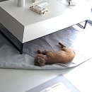 우리 강아지 구찌를 위해^^*