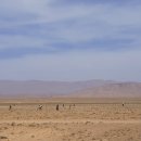 맘마미아밴드와 함께한 두바이, 모로코, 스페인 여행(22)...300m사암절벽의 토드라 협곡을 들르다. 이미지