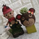 반려식물 원예화분 공예 이미지