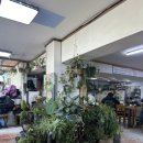 GS25경포호수점 이미지