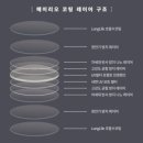 리오라이프