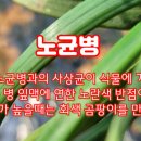 서해방제드론