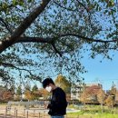 신평동1143 이미지