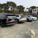 멍포레(mung foret) 이미지