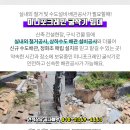 구포하나정형외과의원 이미지