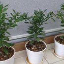 드리다공인중개사사무소 이미지