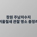 동읍139 | 창원 주남저수지 겨울철새 관찰 명소 총정리