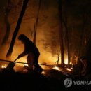 노원-현장-1600 이미지