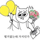 온리 이미지