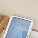 강아지 목욕탕 이미지