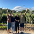 옥순봉민박 이미지