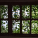 제주 구 해병 훈련시설 이미지