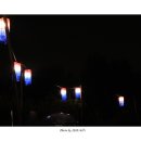 청사초롱 이미지