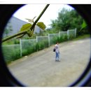 형제사슴목장 이미지