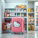 세븐일레븐 통영한선점 | 세븐일레븐 키티 캐리어, 직접 구매해 본 상세한 디자인과 실용성 리뷰