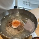 석촌냉면 | 평양냉면 입문하시려면 평냉식입니다. 평양냉면 러버와 입문자의 완냉 찐찐찐 후기/ 석촌역 냉면 평냉식