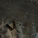 오세르키즈앤패밀리풀빌라 이미지