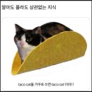 (주)알앤디프로젝트 | (일상) 용기 있는 자가 미인을 얻는다. (with, 장염, 대전, 노가리, 이상형)
