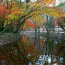 제620차 기백산악회 선운산 단풍 정기산행 11/22 토 이미지