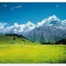 노고지리 이미지