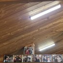 영월제일의원 | [강원] 소금빵부터 뗏목체험까지, 영월 핵심만 싹 훑고 온 후기 😏