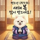 보라매웰종합동물병원 | [공지] 보라매웰동물병원 1월 수의사 스케줄 / 2026년 1월1일 보라매웰동물병원 진료안내