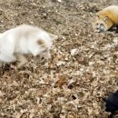 은색농장 이미지