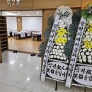 24시꽃 이미지