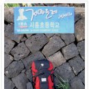 제주올레 1코스 (시흥초~성산광치기해안-15km) 이미지