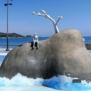 세파에 따르지    이미지