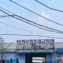 소래포구 진영수산 포장 솔직한 후기