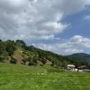 현기목장 | 8월 강릉 여행 후기 :: 강릉 숙소 솔직 후기, 연곡해변, 양떼목장