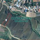 마지공인중개사사무소 이미지