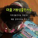 파밀리에드마스코타천안불당지점 - 10433 | 기호성좋은사료 대즐 독 양고기&쌀 스몰브리드｜강아지사료 유산균 후기