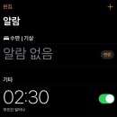 로댕목장 | 얼렁뚱땅 극P둘의 베트남 여행기