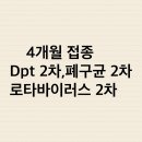 새싹약국 | 4개월 접종열 내리는 방법 올바른 해열제 복용