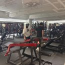 레디 바디 이미지