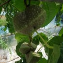 구름농장 이미지