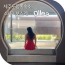 동쪽하늘펜션앤게스트하우스 | 제주도 2인 숙소 제주 독채 감성펜션 제주 동쪽 2인 숙소