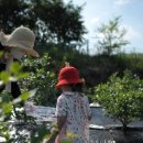 밤나무골농장 이미지