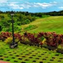 더 리베라 이미지