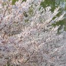 방송통신 고등학교 졸업 🎓 다가오니아쉽다 이미지