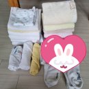 [창원/봉곡동/명서동/꽃집/꽃나무핸즈/별난상점] 위닉스 컴팩트 건조기 플러스 내돈내산 후기