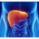 네츄럴 바디 휘트니스 이미지