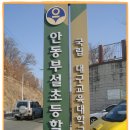 대구교육대학교안동부설초등학교 이미지