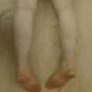 하라네이처 이미지