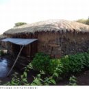 성읍리-11 이미지