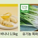 앙금마을