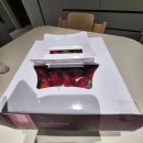 달콤베이커리(광주시청점) | [광주 맛집] 박종현베이커리 금호점에서 준비한 엄마 생일 케이크와 빵 후기